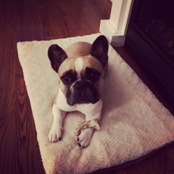 family diary post journal photo