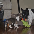 Big Brother Teaching Lil Brother