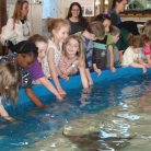 Aquarium school trip