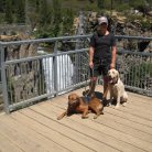 Bend,OR with dogs, Lena & Sam