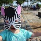 Someone let a zebra in