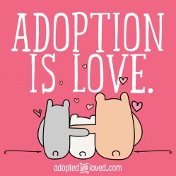 family diary post journal photo