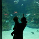 Underwater adventures!