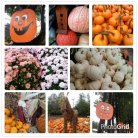 Love Fall and the warmth of the holidays that come soon after!