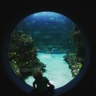 Learning about fish at the aquarium.