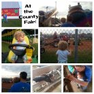 At the county fair!